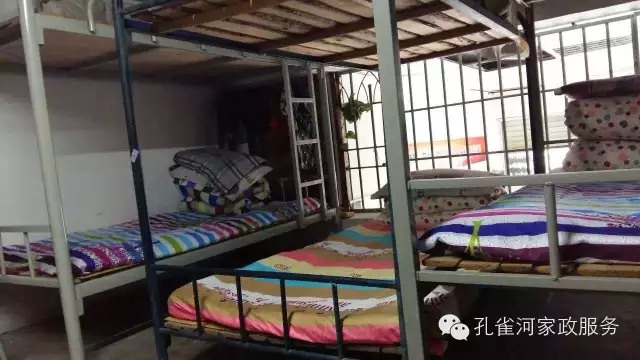 ��ȸ�Ӽ�����ķ������ů��ů�����ģ�