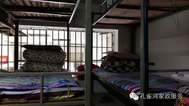 ��ȸ�Ӽ�����ķ������ů��ů�����ģ�