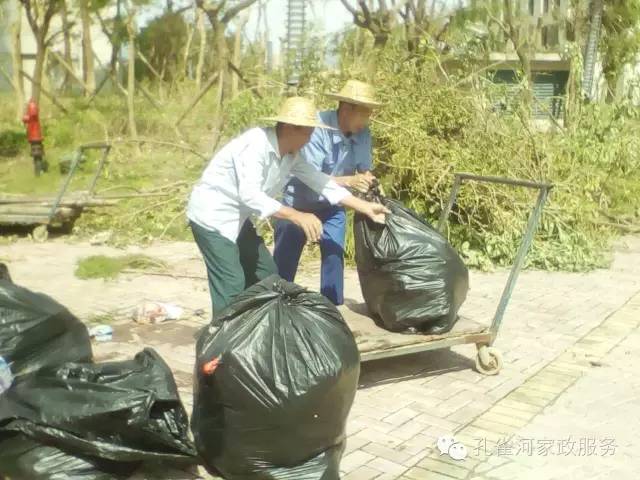 ��������y���������