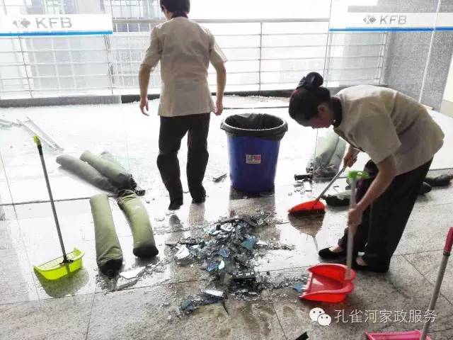 ��������y���������