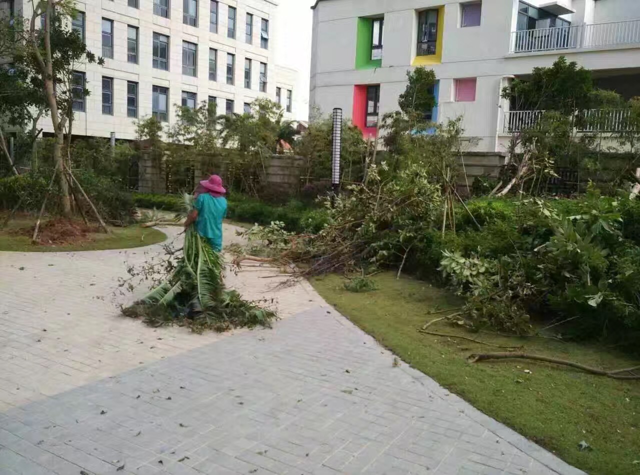 廈門(mén)家政公司接力災(zāi)后重建義工活動(dòng)