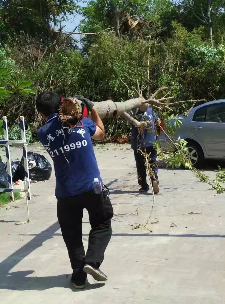 廈門(mén)家政公司接力災(zāi)后重建義工活動(dòng)