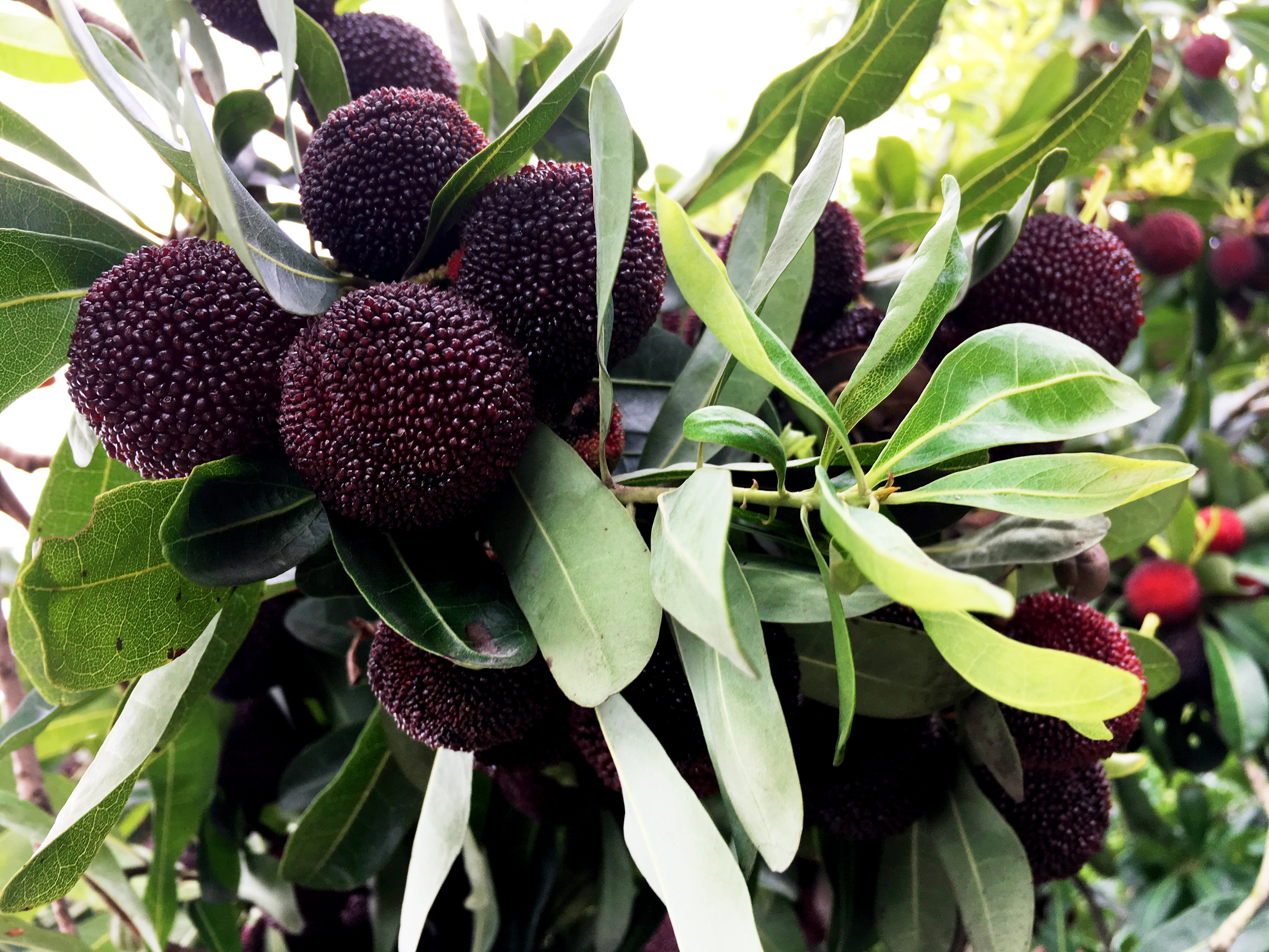 ���؄e��Ϣ���@�ε��ի@�H�S����ȸ���H�ӻ�������Y������