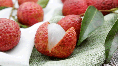 ��֦����һ���@��������ȸ����ɩ��Ӗ(x��n)���f(w��n)��